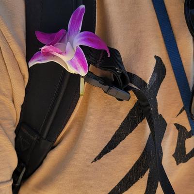 avatar for sunumbral@beige.party